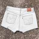 20KG Vintage Jeans Shorts